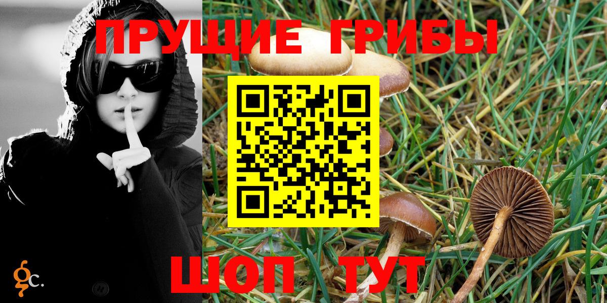 Псилоцибиновые грибы Cubensis  Псилоцибиновые грибы Psilocybe  Барнаул 