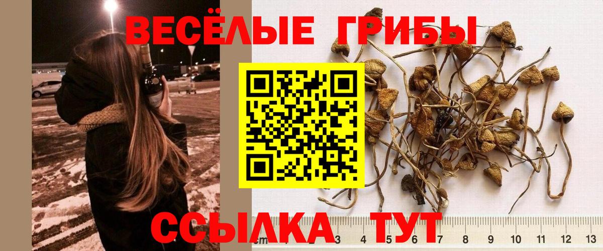 Галлюциногенные грибы прущие грибы  Вход с VPN  цены   Барнаул 